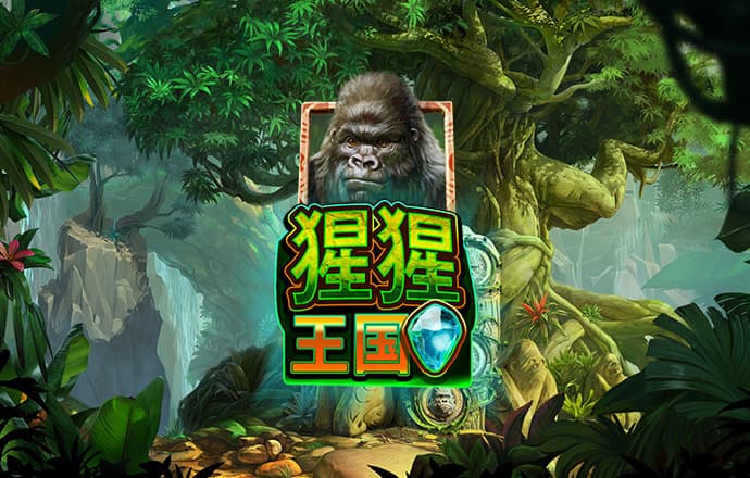 k1体育app下载链接